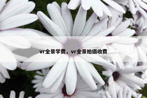 vr全景学费，vr全景拍摄收费