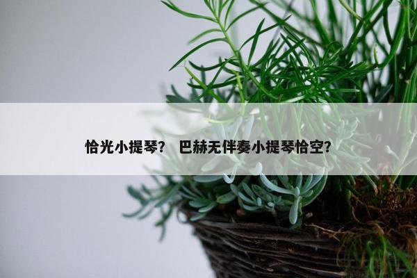 恰光小提琴？ 巴赫无伴奏小提琴恰空？