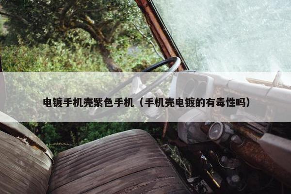 电镀手机壳紫色手机（手机壳电镀的有毒性吗）