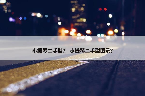小提琴二手型？ 小提琴二手型图示？