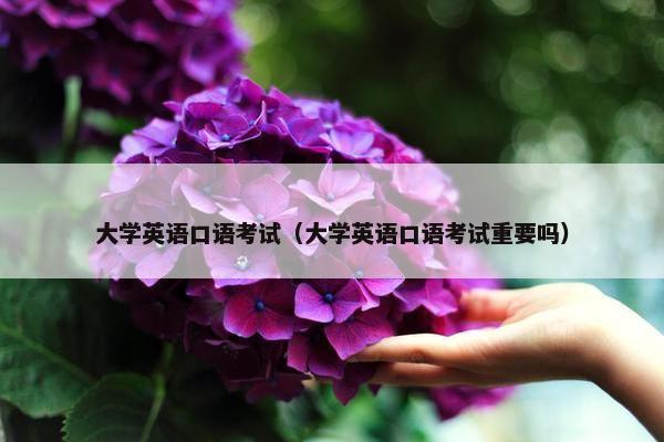大学英语口语考试（大学英语口语考试重要吗）