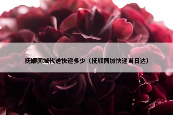 抚顺同城代送快递多少（抚顺同城快递当日达）