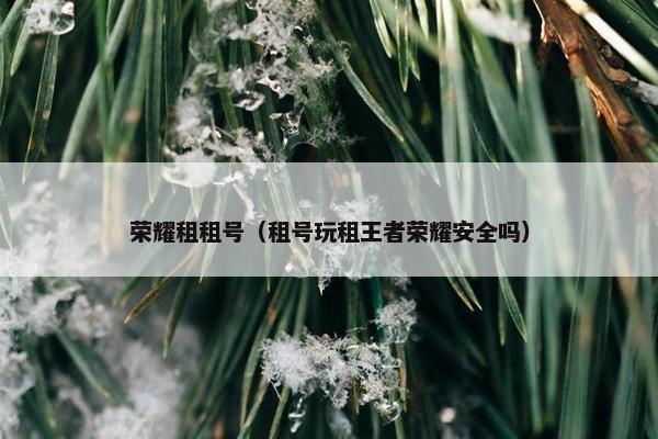 荣耀租租号（租号玩租王者荣耀安全吗）
