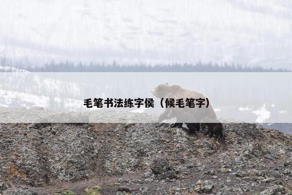毛笔书法练字侯（候毛笔字）