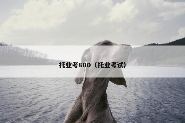 托业考800（托业考试）