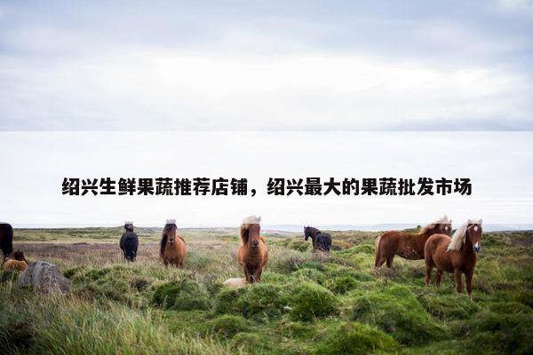 绍兴生鲜果蔬推荐店铺，绍兴最大的果蔬批发市场