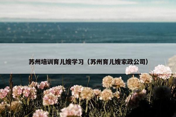 苏州培训育儿嫂学习（苏州育儿嫂家政公司）