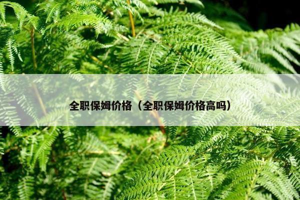 全职保姆价格（全职保姆价格高吗）