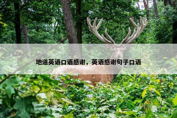 地道英语口语感谢，英语感谢句子口语