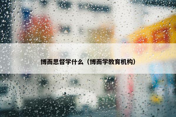 博而思督学什么（博而学教育机构）