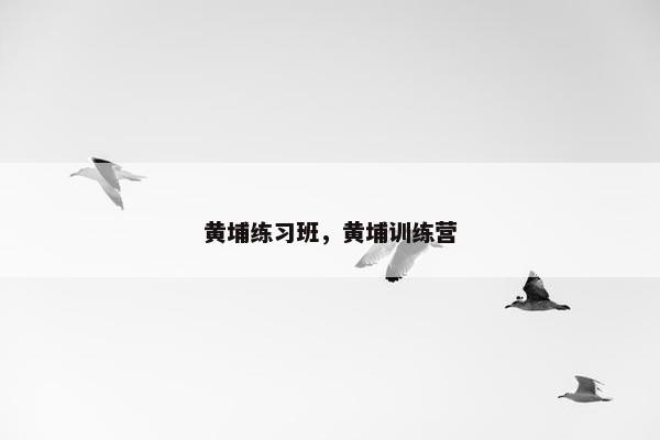 黄埔练习班，黄埔训练营