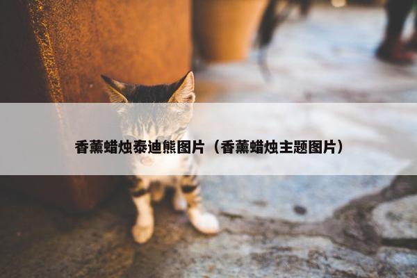 香薰蜡烛泰迪熊图片（香薰蜡烛主题图片）