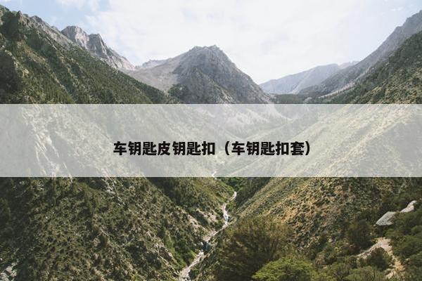 车钥匙皮钥匙扣（车钥匙扣套）