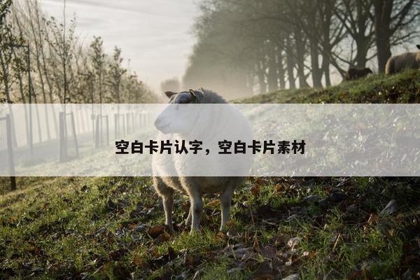 空白卡片认字，空白卡片素材