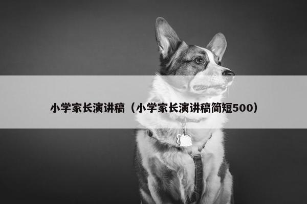 小学家长演讲稿（小学家长演讲稿简短500）