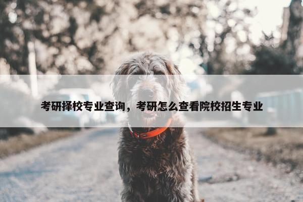 考研择校专业查询，考研怎么查看院校招生专业