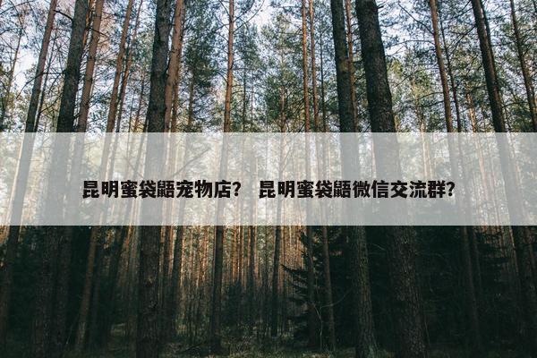 昆明蜜袋鼯宠物店？ 昆明蜜袋鼯微信交流群？
