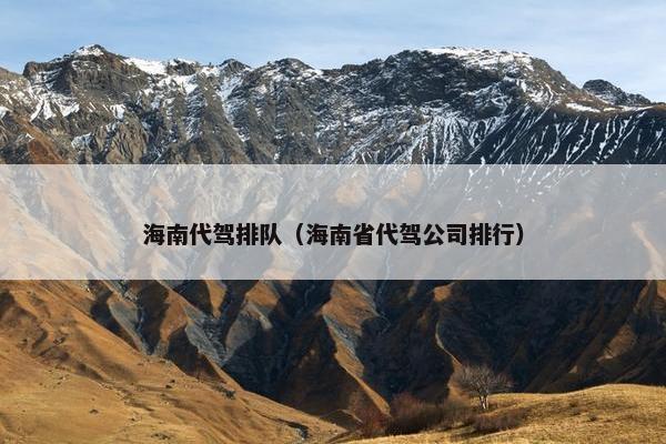 海南代驾排队（海南省代驾公司排行）