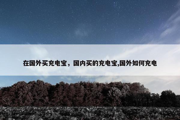 在国外买充电宝，国内买的充电宝,国外如何充电