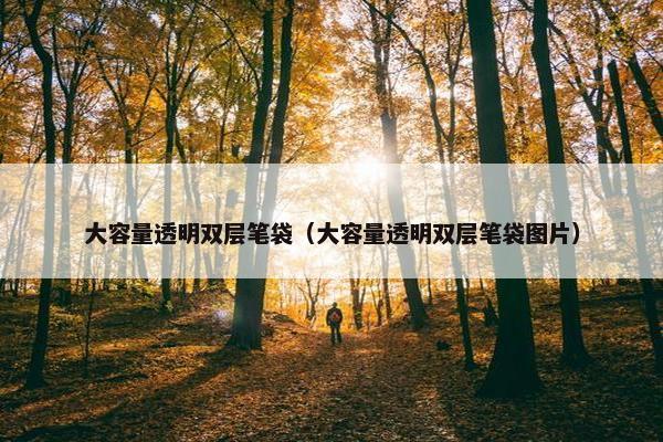 大容量透明双层笔袋（大容量透明双层笔袋图片）