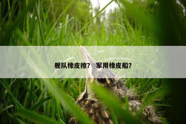 舰队橡皮擦？ 军用橡皮船？