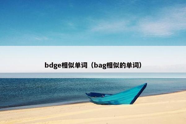 bdge相似单词（bag相似的单词）