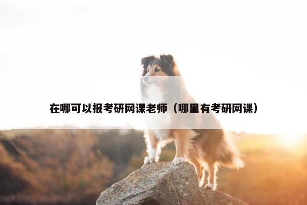 在哪可以报考研网课老师（哪里有考研网课）