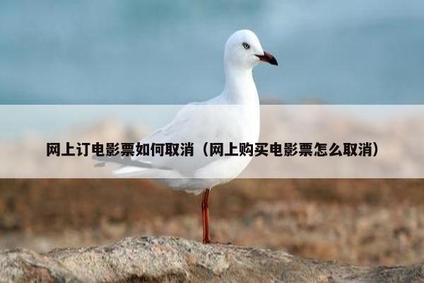 网上订电影票如何取消（网上购买电影票怎么取消）