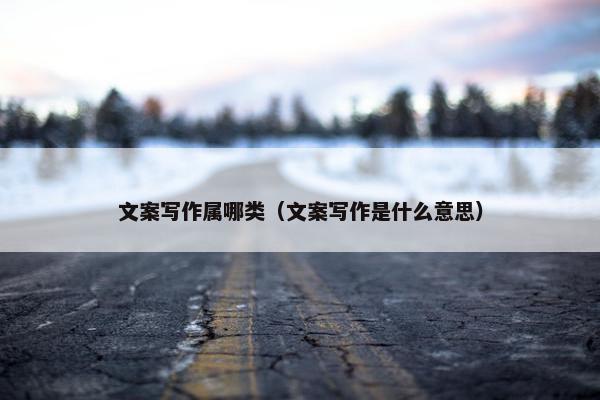 文案写作属哪类（文案写作是什么意思）
