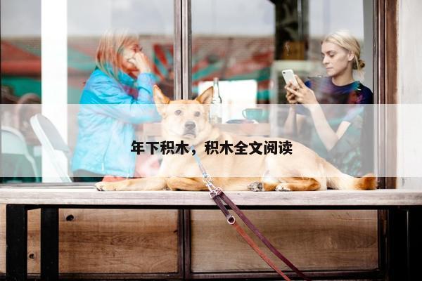 年下积木，积木全文阅读