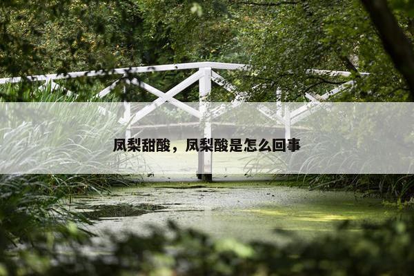 凤梨甜酸，凤梨酸是怎么回事
