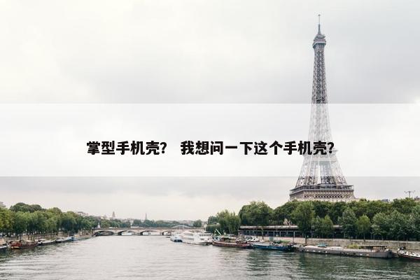 掌型手机壳？ 我想问一下这个手机壳？