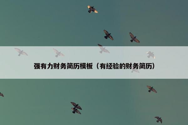 强有力财务简历模板（有经验的财务简历）