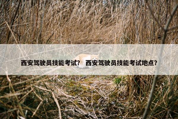 西安驾驶员技能考试？ 西安驾驶员技能考试地点？