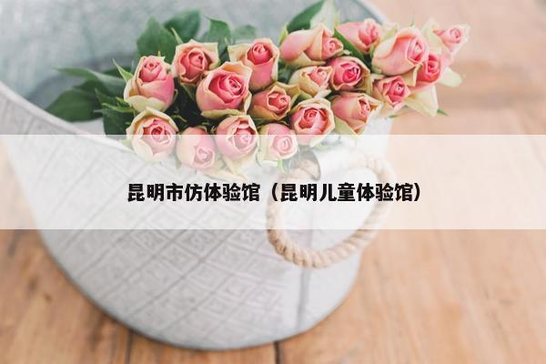 昆明市仿体验馆（昆明儿童体验馆）