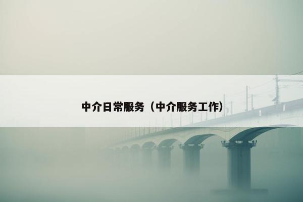 中介日常服务（中介服务工作）