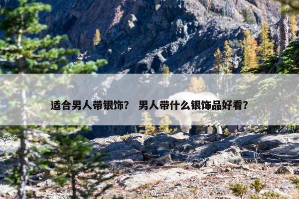 适合男人带银饰？ 男人带什么银饰品好看？