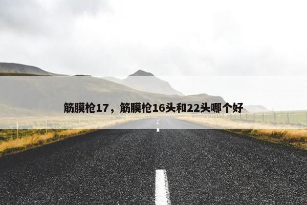 筋膜枪17，筋膜枪16头和22头哪个好