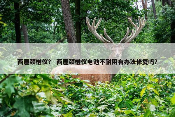 西屋颈椎仪？ 西屋颈椎仪电池不耐用有办法修复吗？