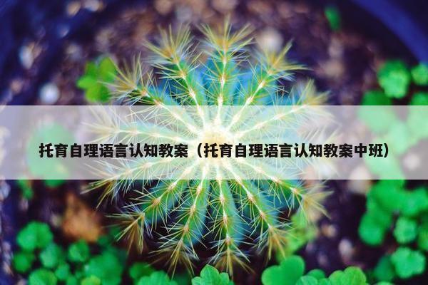 托育自理语言认知教案（托育自理语言认知教案中班）