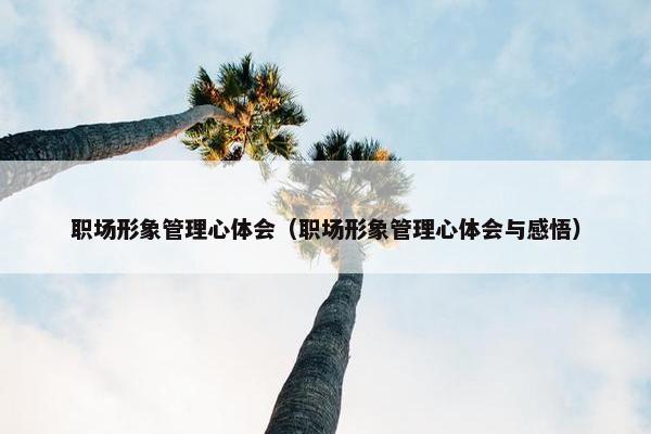 职场形象管理心体会（职场形象管理心体会与感悟）