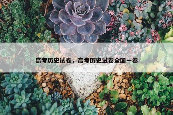 高考历史试卷，高考历史试卷全国一卷