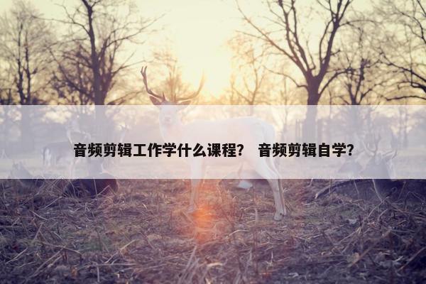 音频剪辑工作学什么课程？ 音频剪辑自学？