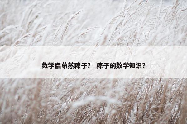 数学启蒙蒸粽子？ 粽子的数学知识？