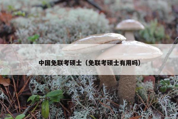 中国免联考硕士（免联考硕士有用吗）