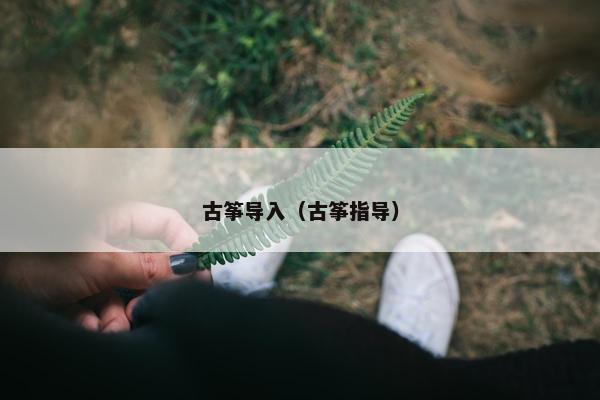 古筝导入（古筝指导）