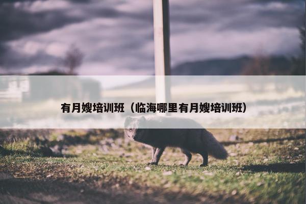 有月嫂培训班（临海哪里有月嫂培训班）
