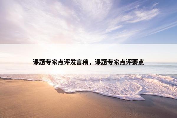 课题专家点评发言稿，课题专家点评要点