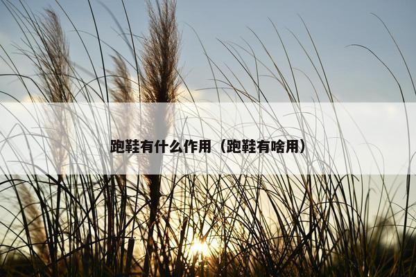 跑鞋有什么作用（跑鞋有啥用）