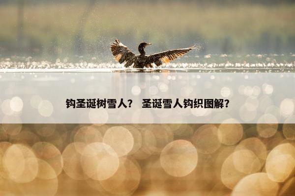 钩圣诞树雪人？ 圣诞雪人钩织图解？